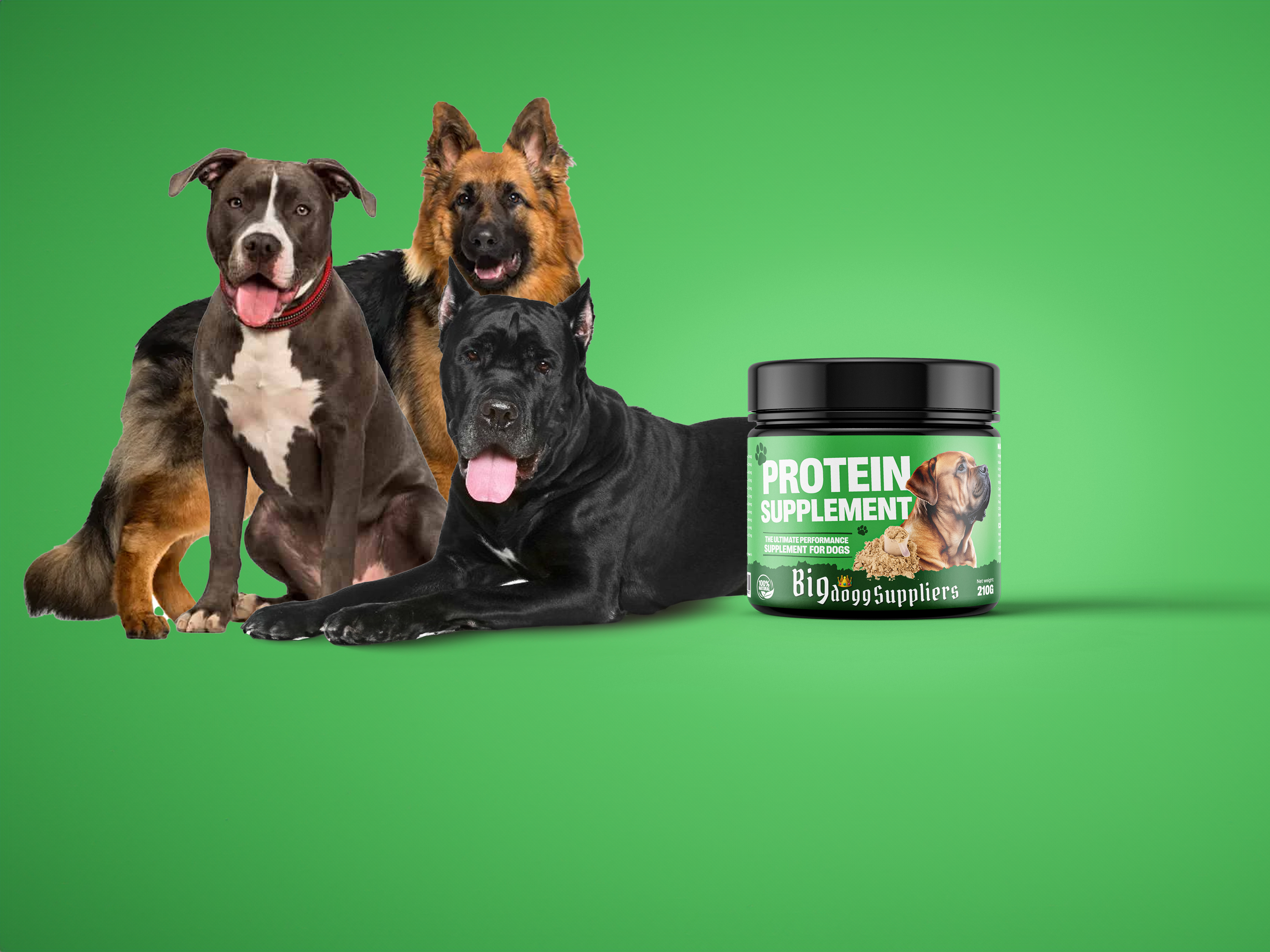 Best Dog Protein Supplement