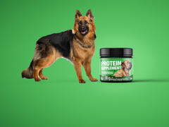 Dog with Protein Supplement of Bigg Dogg Supplier
