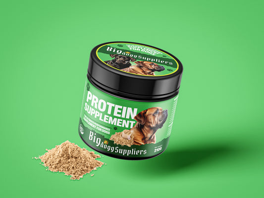 Protein Supplement Big Dogg Supplier